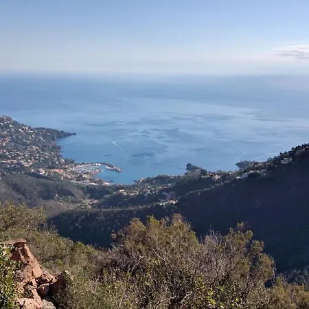 Apartamento Cap Esterel : 2 Pieces Rez De Jardin Mer - C4 279la
